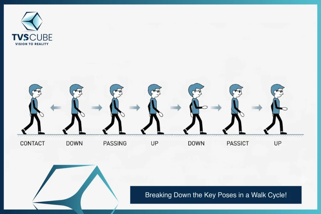 Breaking Down the Key Poses in a Walk Cycle _ TVS Cube