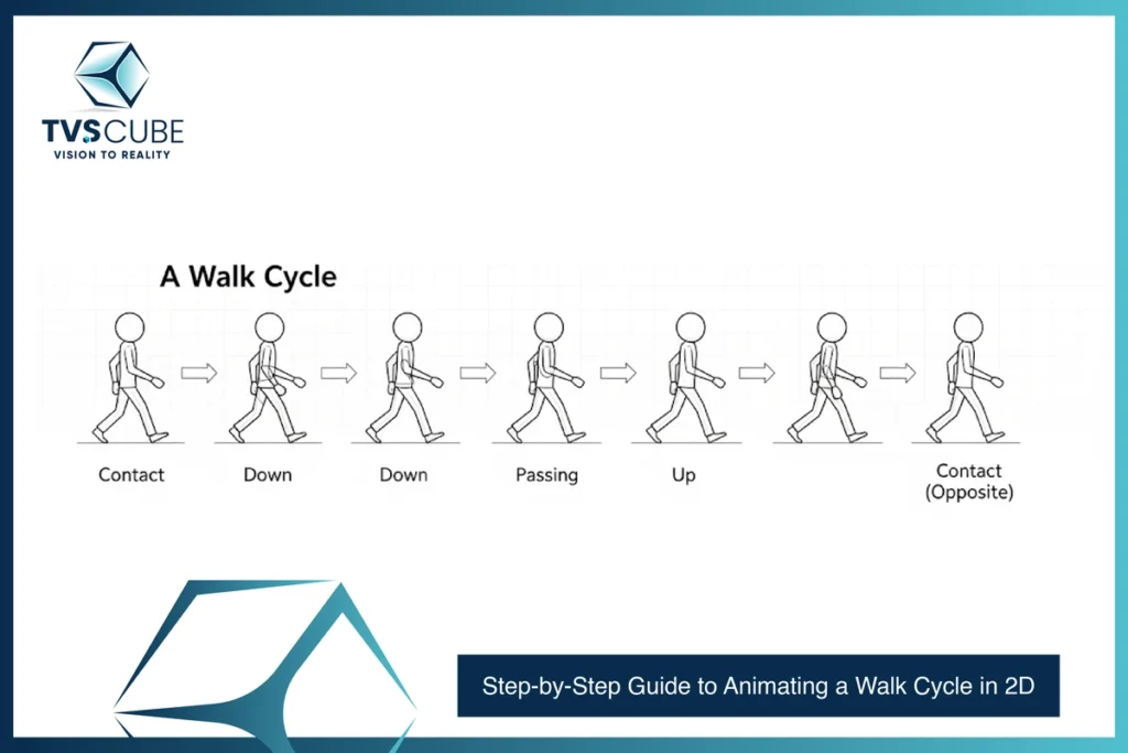Step-by-Step Guide to Animating a Walk Cycle in 2D _ TVS Cube